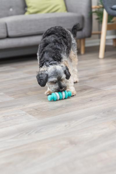 Trixie Denta Fun Knochen Hundespielzeug